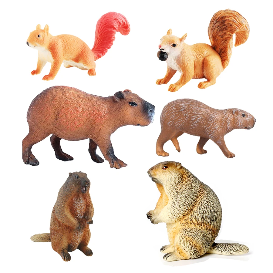 Capibara capivaras esquilo mar - Kids Toys Reviews avaliação e preço
