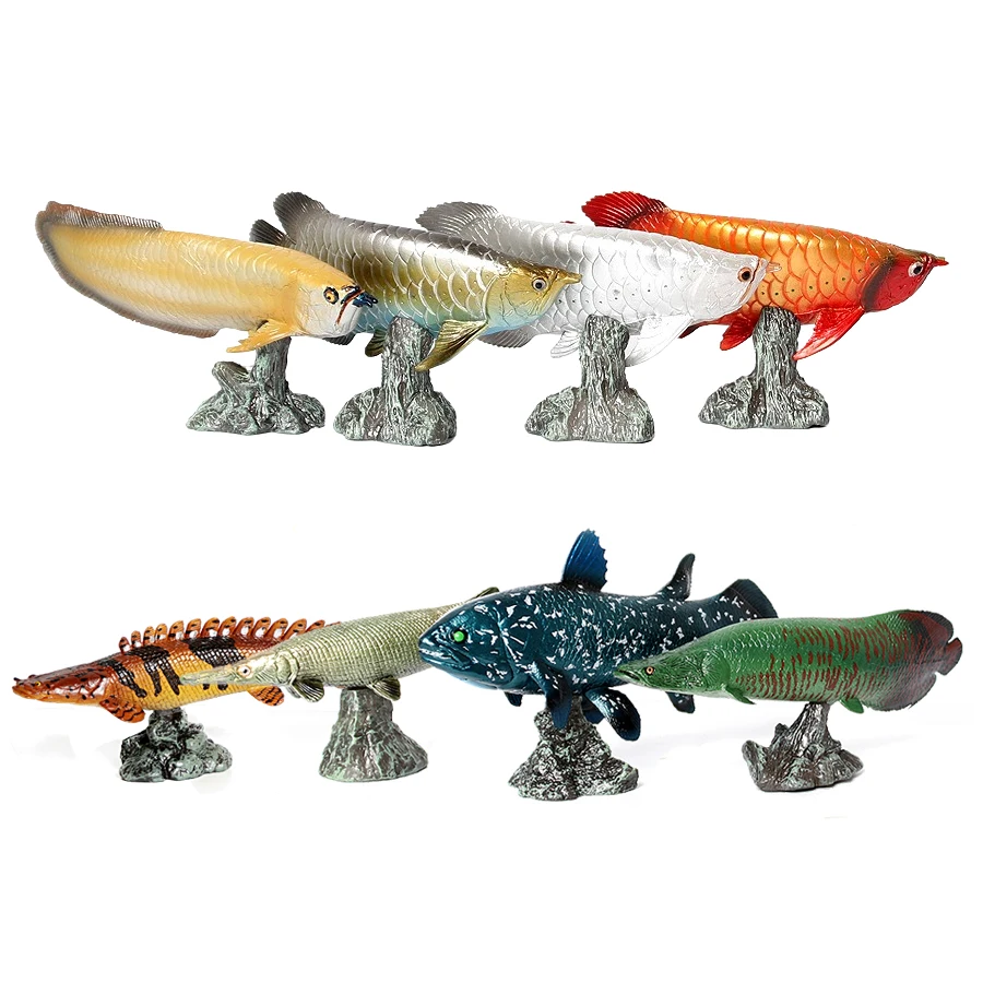 Modelo de Peixe Arowana Piraru - Kids Toys Reviews avaliação e preço